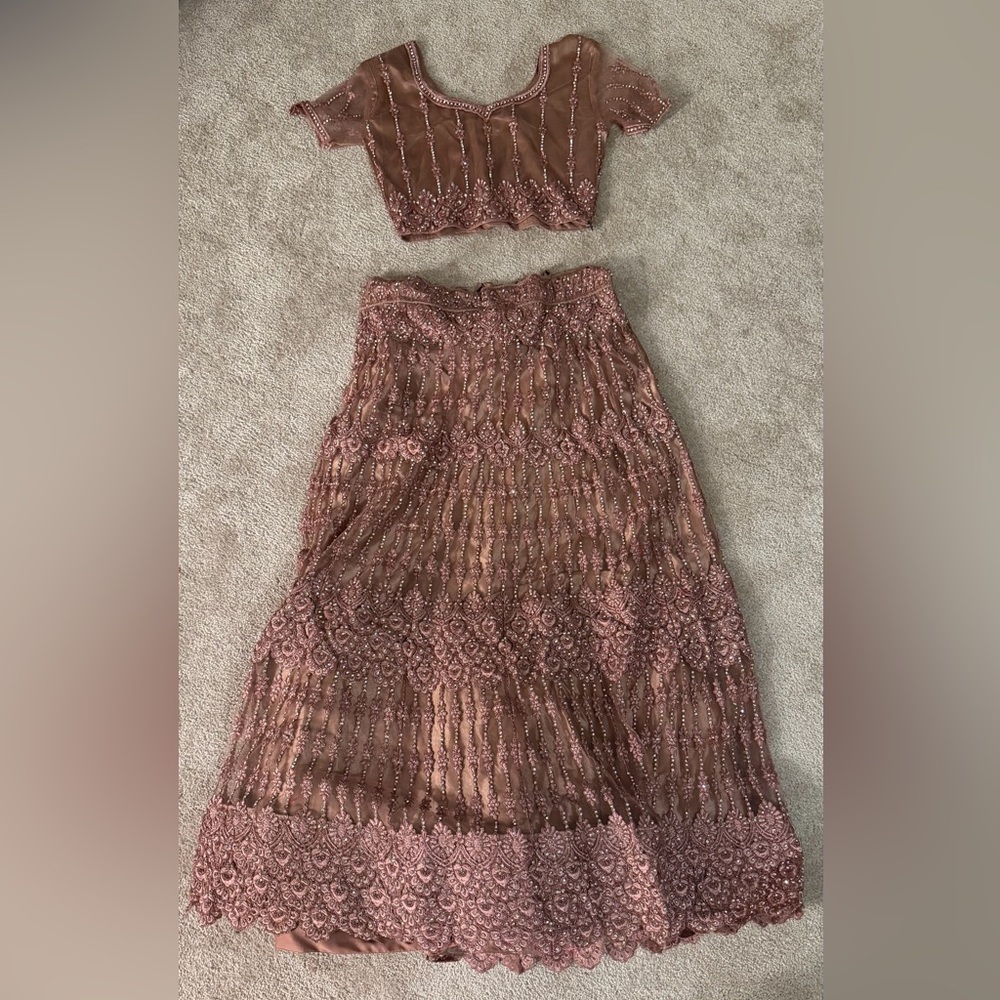 Elegant Desi Skirt and Top